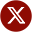 Twitter Icon